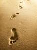 Footprints